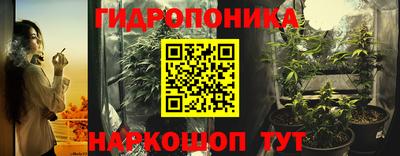 гидропоника Бийск