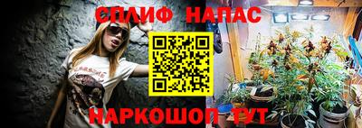 гидропоника Бийск