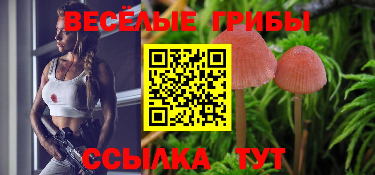 Псилоцибиновые грибы Кизилюрт