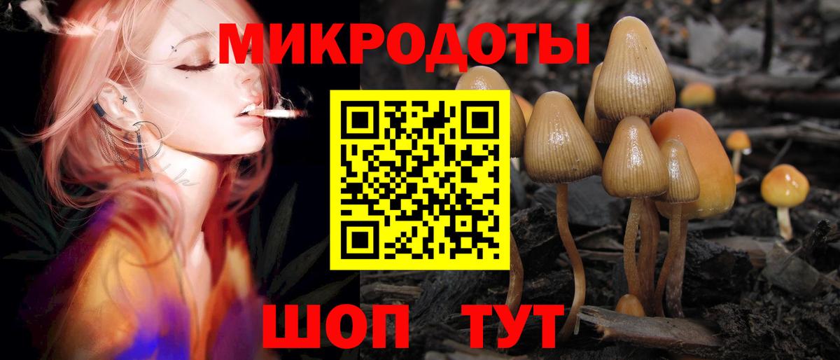 Галлюциногенные грибы прущие грибы  Вход с VPN  Псилоцибиновые грибы мицелий  даркнет сайт  Кизилюрт 